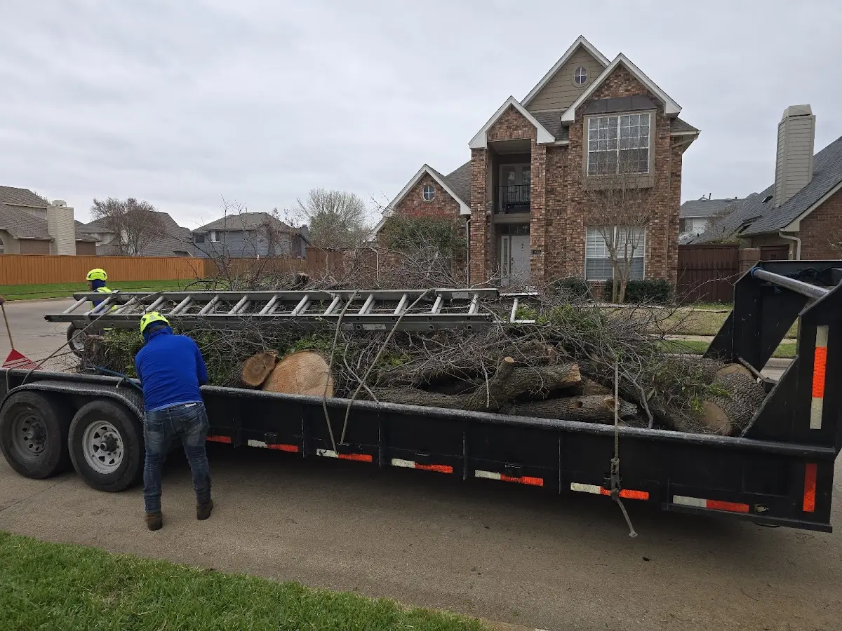 Expert Tree Fertilization with proper safety equipment in Gruver
